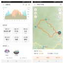단양소백산중학교 | 영월 마대산(馬垈山 맞대산 1050.9) 23.06.27