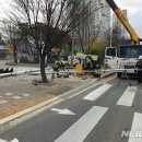 14단지횡단보도 이미지