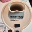 비슈와 - 양주시 | 비슈마이 4in1 무선 멀티슬라이서 내돈내산 솔직후기 (마늘다지기 달걀풀기 실사용)