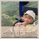 대명2목장 | 비발디파크 홍천 아기랑 곤돌라타고 하늘양떼목장 다녀왔어요
