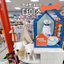 롯데마트 2 입구 | 다이소 롯데마트 평택점 방문후기 애견소품·가을캠핑템까지 알차게 담았어요