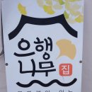 은행나무집 네이버블로그