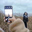 해리스테이 펜션 이미지