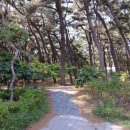 근린공원 이미지