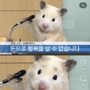 라신반라신반서울1호점