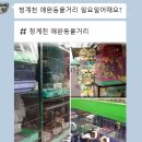 구피날다 | 주말에 가볼만한 곳, 청계천 산책