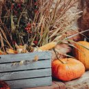 구암동639 이미지