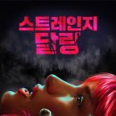 [스트레인지 달링] 연쇄살인마의 꼬여버린 하룻밤 관계에 대한 이야기. 스트레인지 달링 결말. 이미지