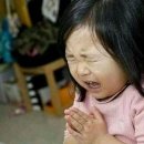 빵야 - 남양주시 | 빵야
