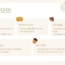 대금태양광발전소 이미지