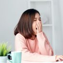 꿀맛 티스토리