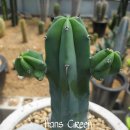 신목농장 이미지