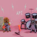 달링스튜디오 이미지