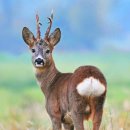 송이농장 이미지