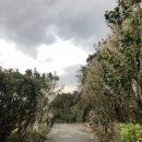 소노캄 제주 이스트타워 이미지