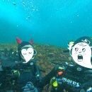 서귀포 스쿠버다이빙 추천 내돈내산 제주스쿠버스쿨 스쿠버다이빙 가격 샤워실 샴푸