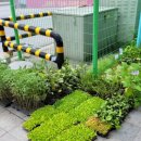 황지자유시장 이미지