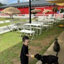 부흥목장 이미지