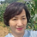 영이농장 이미지