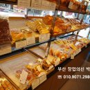 파리바게트울산 이미지