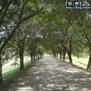 대림슈퍼 이미지