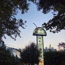 박터진흥부네 이미지