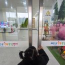 태안군 가족공감센터 어린이 수영장 | 태안 아이랑 가볼만한곳 태안군가족공감센터 실내 무료 어린이놀이터 어린이과학관