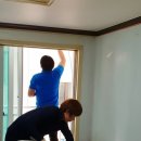 하이임주
