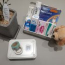 독립문약국 이미지