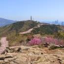 부산 도심속의 산 황령산의 봄 풍경 이미지