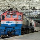 H1557 이미지