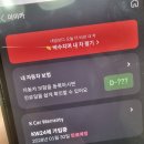 상용카 | K카 르노 캡처 내돈내산 구매한 이유