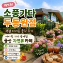 소풍가다 | 소풍가다 두동원점 재오픈 후기, 아이랑 가기 좋아진 울산 자연뷰 카페