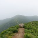 새일목장 이미지