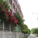 권선중학교 이미지