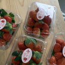 매지밀 딸기농장 이미지