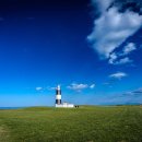 시영목장 이미지