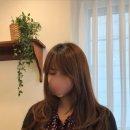 살롱드폼 이미지