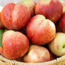 천도로 가로수길 이미지