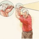 베스타 골프 이미지