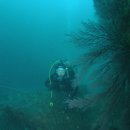 죽촌민박 이미지