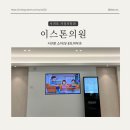 이스톤의원