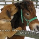 루스트