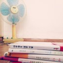 5월 감꽃 10월 홍시 이미지