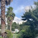 동그라미 펜션 이미지