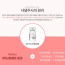 샤넬PC 이미지