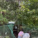 솔바람 힐링하우스 이미지