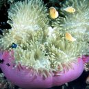 아름다운바다 이미지