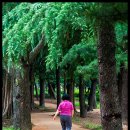 유성 족욕체험길 이미지