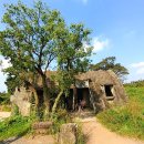 정인목장 이미지